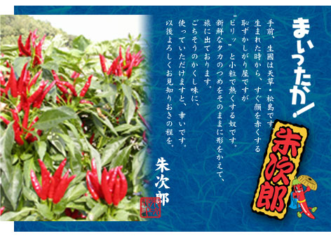まいったか 朱次郎 上天草市