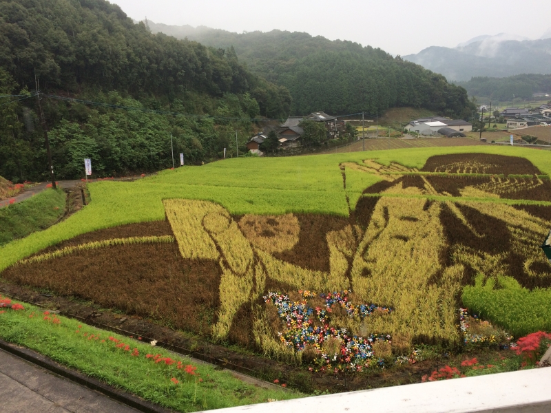 彼岸花ウォーク03