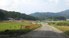 �������϶�����