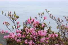 ���ޥ����ߥĥХĥĥ�